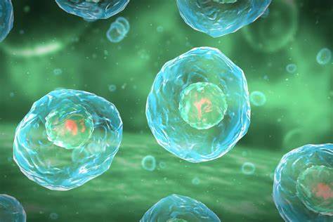 20岁与60岁，人的免疫细胞有何不同？存储免疫细胞有何作用？