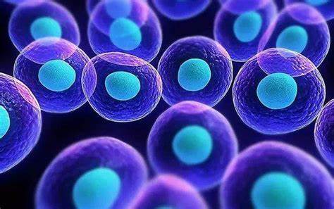 盘点 | 干细胞疗法的10大适应症及其临床案例
