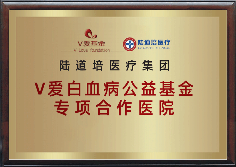 V爱白血病公益基金