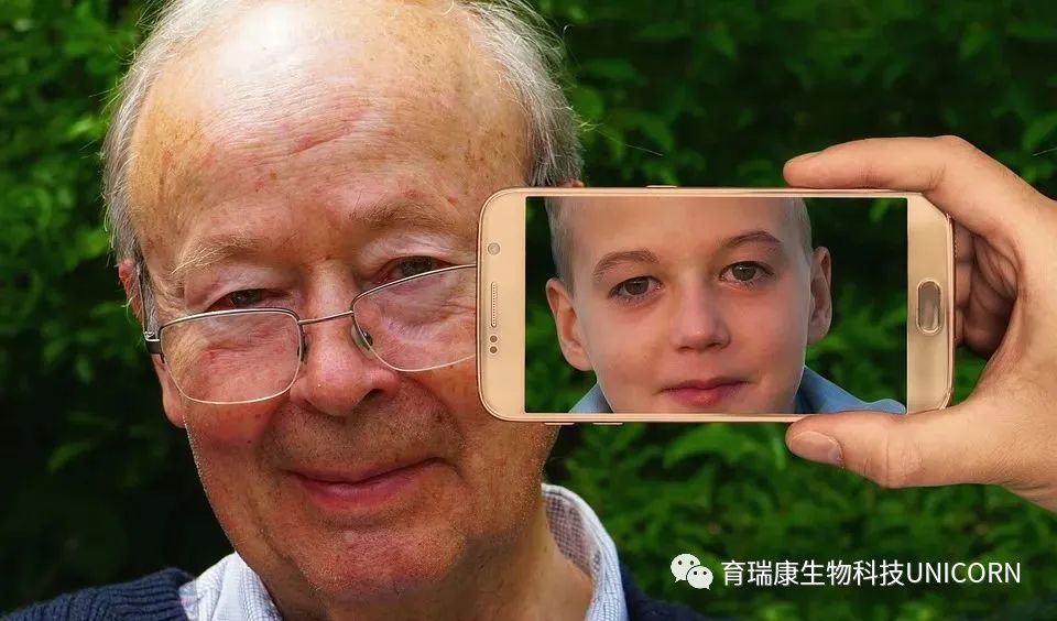 《自然》重磅：免疫细胞衰老可促进全身衰老，免疫细胞年轻则可延缓衰老《自然》重磅：免疫细胞衰老可促进全身衰老，免疫细胞年轻则可延缓衰老