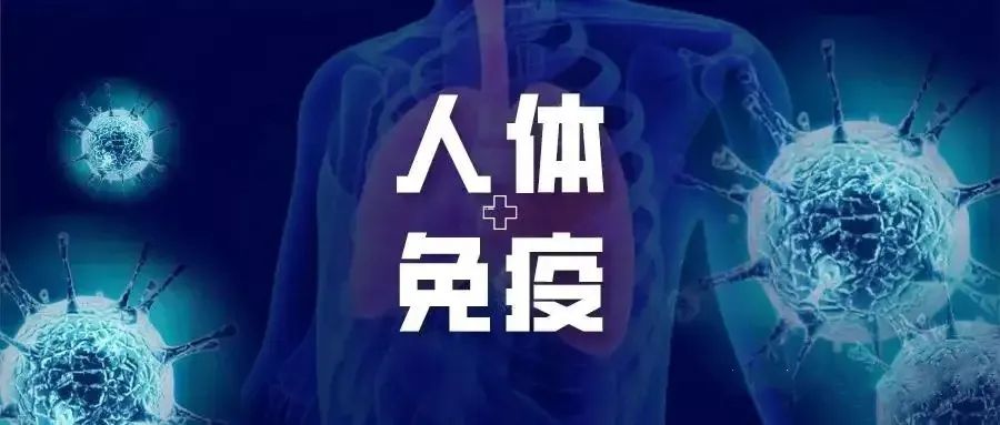 《Nature》：NK细胞能清除衰老细胞，延长寿命20%-30%